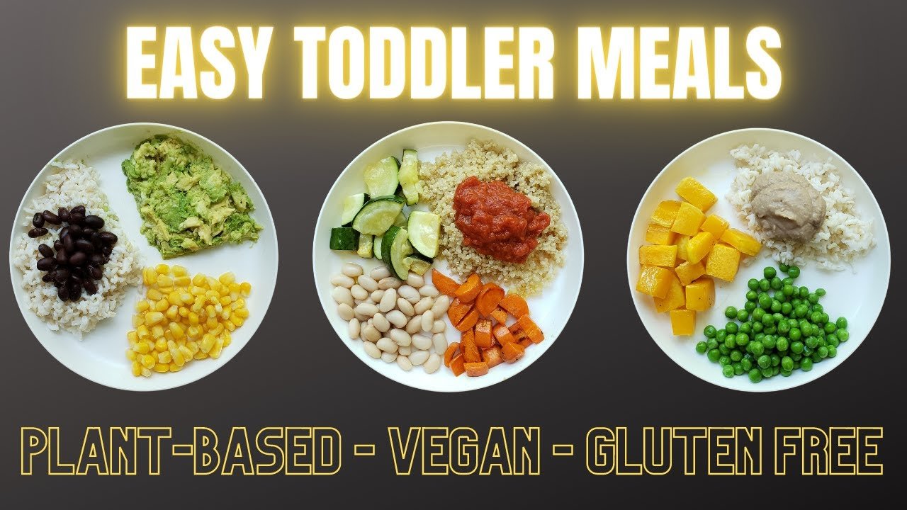easy-vegan-toddler-meals-plant-based-and-gluten-free-healthy-n-fit